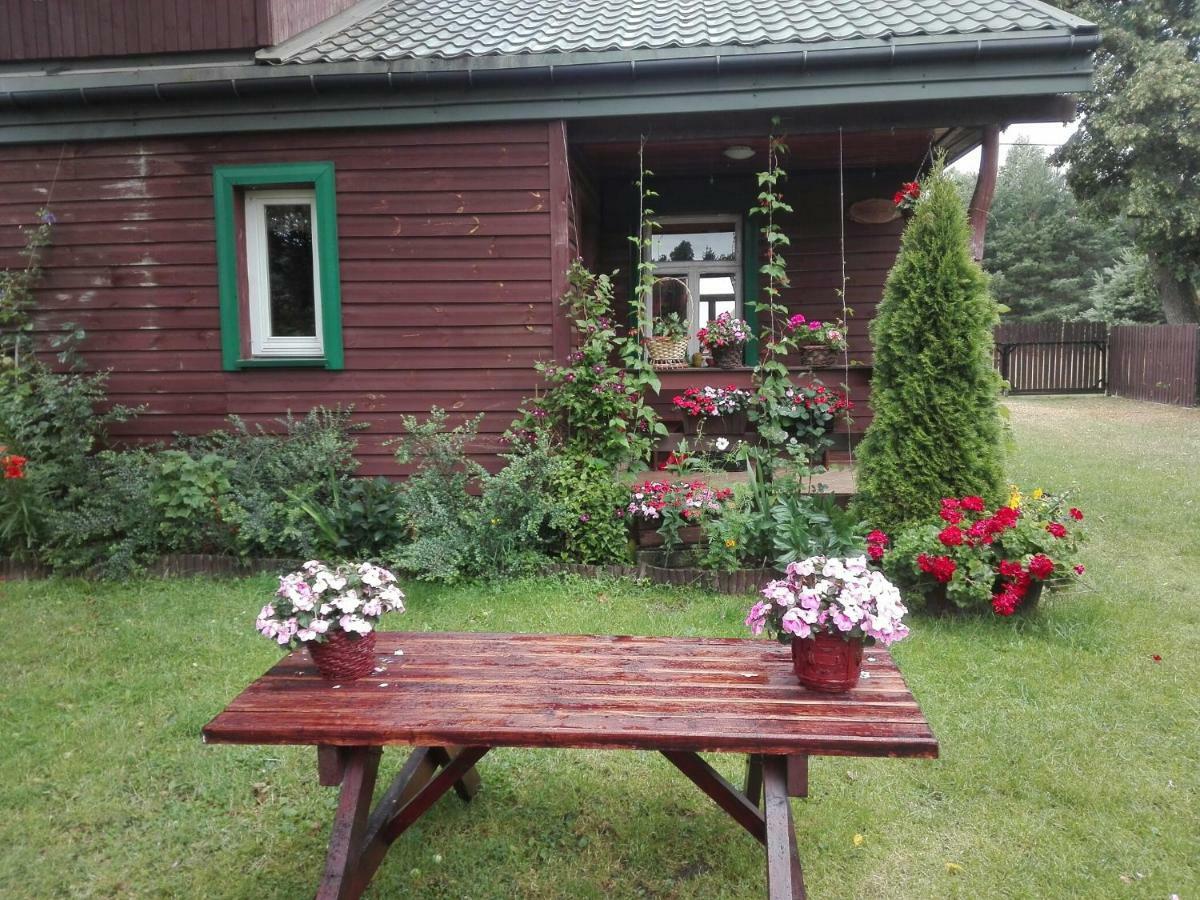 Dom Na Skraju Puszczy Bialowieskiej Narewka Exterior photo